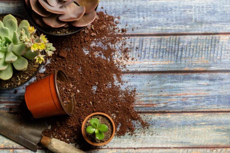 mesa-azul-elementos-jardin-wirestock